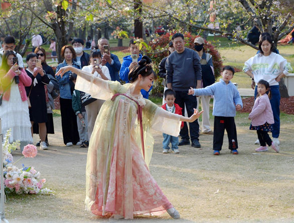 清明假期期間，上海顧村公園櫻花島上，游客在觀賞國(guó)風(fēng)漢服快閃表演。（圖片來源：視覺中國(guó)）