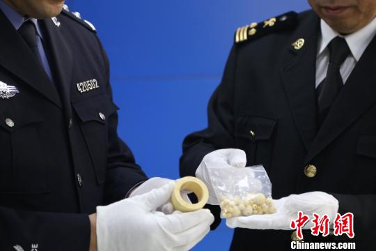 海關(guān)工作人員查獲象牙制品?!□U曉康 攝 海關(guān)工作人員查獲象牙制品。 鮑曉康 攝
