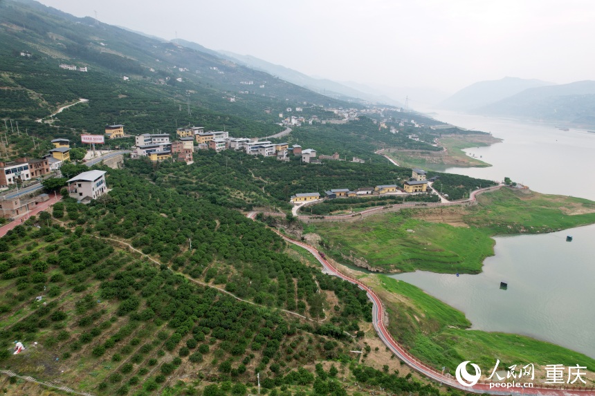 豐都縣安坪鎮(zhèn)三沱村。人民網(wǎng)記者 劉政寧攝