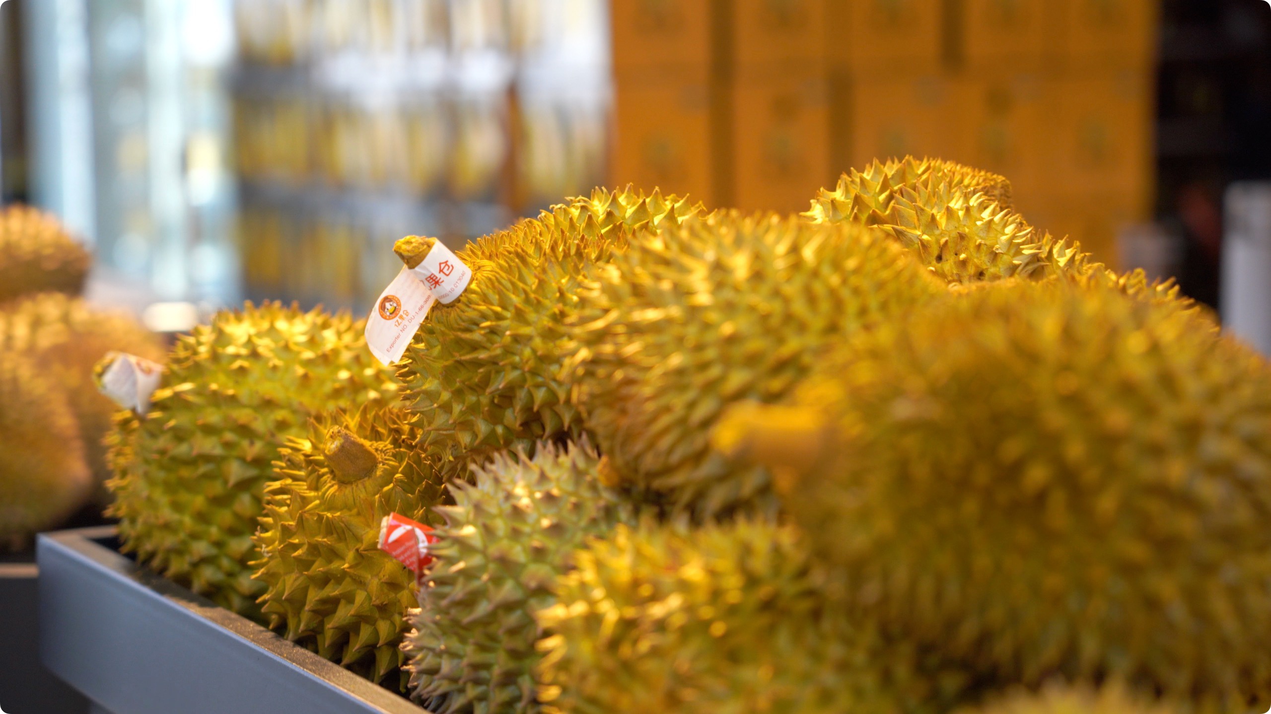 5月初，人民網(wǎng)記者申佳平攝