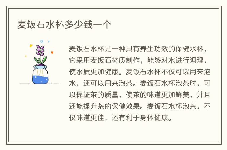 麦饭石水杯多少钱一个