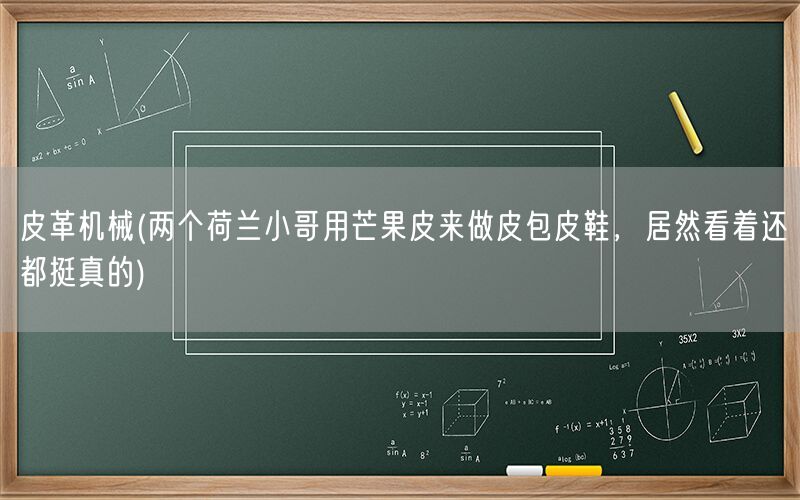 皮革机械(两个荷兰小哥用芒果皮来做皮包皮鞋，居然看着还都挺真的)(图1)