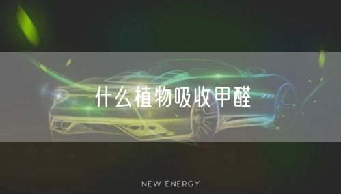 什么植物吸收甲醛(图1)